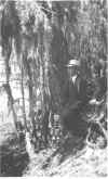 Doc_Coon_Everglades_1931.jpg (49889 bytes)